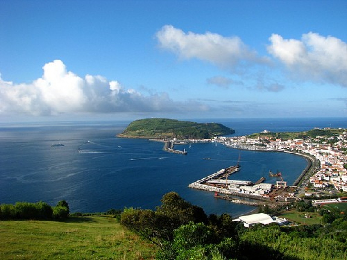 'Faial' - Azores